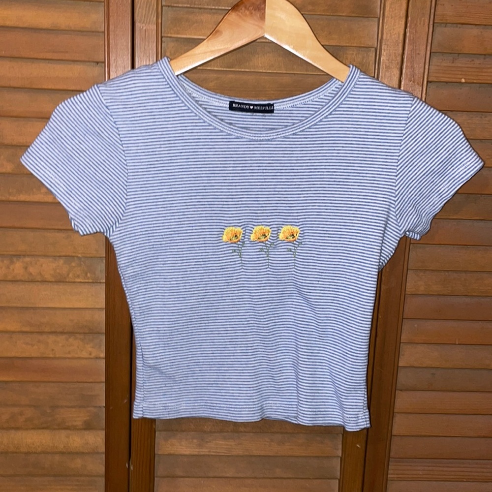 Brandy Melville crop